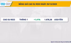 Giá cao su RSS3 lên mức cao nhất trong 3 tuần qua