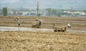 Bố trí lực lượng sẵn sàng lấy nước đợt 1 cho gieo cấy vụ Đông Xuân
