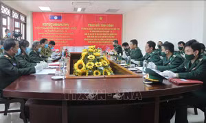 Phối hợp quản lý bảo vệ biên giới, phòng chống dịch COVID-19