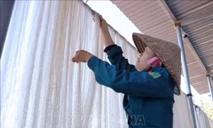 Tất bật làng nghề làm miến dong vụ Tết