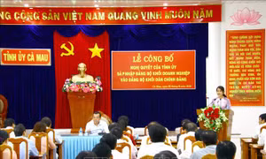 Cải cách tổ chức bộ máy, tinh giản biên chế - Bài 2: 'Năm giảm' ở bộ máy hành chính cấp tỉnh