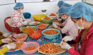 Cận Tết, giá tôm khô tăng mạnh