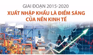 Xuất nhập khẩu là điểm sáng của nền kinh tế trong giai đoạn 2015-2020