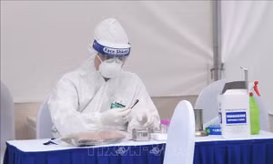Phát hiện thêm 82 ca dương tính với virus SARS-CoV-2 tại Hải Dương và Quảng Ninh