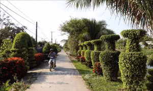 Bài học lấy dân làm gốc trong điều kiện mới - Bài 2: Huy động mọi sức mạnh, tiềm năng nhân dân