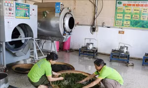 Đổi thay ở nơi thành lập cơ sở Đảng đầu tiên của tỉnh Thái Nguyên