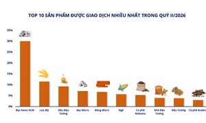 Thị trường giao dịch hàng hóa quý II: Thanh khoản điều chỉnh, thị trường tiếp tục tăng trưởng 