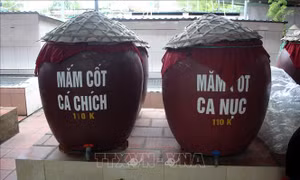 Phát triển thương hiệu nước mắm Sầm Sơn