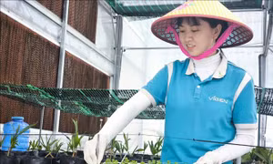 Thí điểm xây dựng mô hình 'Xã Thương mại điện tử'