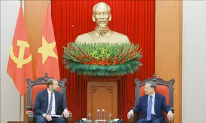 Tổng Bí thư Tô Lâm tiếp Chủ tịch Tập đoàn Pacifico Energy, Hoa Kỳ