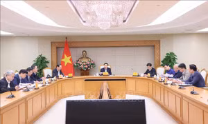 Khẩn trương xây dựng lộ trình chuyển đổi sang phương tiện sử dụng điện, năng lượng xanh