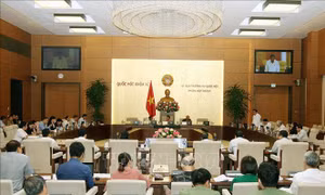  Sẽ có lộ trình để quản lý rượu tự nấu trong dân