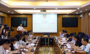 Khắc phục lỗ hổng, hạn chế tình trạng bỏ cọc trong đấu giá tài sản