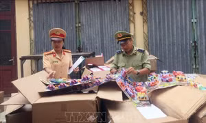 Bắt giữ xe đầu kéo chở hàng chục ngàn đồ chơi nhựa không rõ nguồn gốc