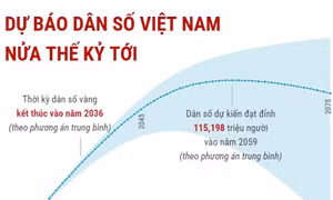 Dự báo dân số Việt Nam nửa thế kỷ tới