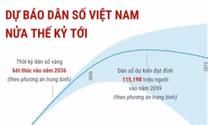 Dự báo dân số Việt Nam nửa thế kỷ tới