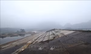 Phấn đấu hoàn thành dự án Hồ chứa nước Cánh Tạng vào tháng 6/2026 