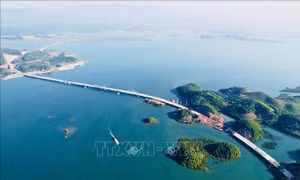 Quảng Ninh: Nỗ lực hoàn thành cây cầu trên biển trong năm 2021