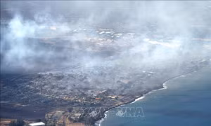 Số người thiệt mạng do cháy rừng ở Hawaii (Mỹ) tăng lên 53