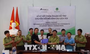 Chuyển đổi mô hình du lịch 'cưỡi voi' sang 'ngắm voi'