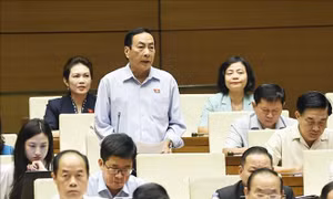 Đại biểu Quốc hội đề xuất đưa kinh doanh kim cương, đá quý vào ngành nghề có điều kiện