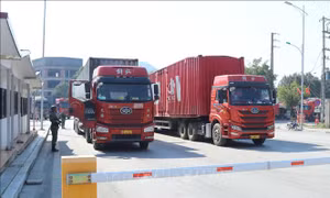 Khuyến cáo thực hiện đúng quy định khi giao dịch hợp đồng mua bán qua biên giới