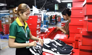 Vĩnh Long: Chuyển từ 'quản lý' sang 'kiến tạo', đồng hành cùng doanh nghiệp