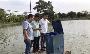 Trang bị kiến thức, kỹ thuật hỗ trợ nông dân phát triển sản xuất