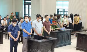 Tuyên án vụ đưa, nhận hối lộ trong cung cấp thực phẩm trường mầm non 