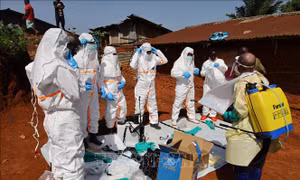 Dịch Ebola: WHO đề xuất thử nghiệm vaccine và thuốc điều trị mới