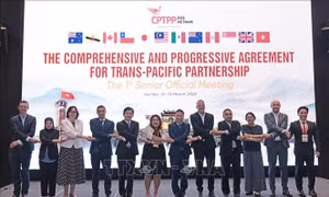 Khai mạc Phiên họp Quan chức cấp cao Hiệp định CPTPP lần thứ nhất năm 2026