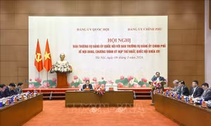 Hội nghị chuẩn bị cho Kỳ họp thứ nhất, Quốc hội khóa XVI