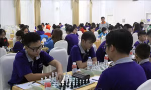Hơn 200 vận động viên tham dự Giải vô địch cờ vua đồng đội toàn quốc 2020