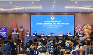 Bóng đá Việt Nam đang tiến bộ nhanh hơn so với kỳ vọng
