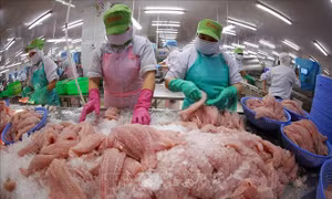 Xuất khẩu nông, lâm, thủy sản tăng 7%