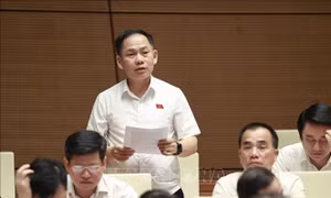Sửa đổi Luật Đất đai phải xóa bỏ 'quy hoạch treo'