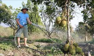Xây dựng nông thôn mới nơi vùng cao biên giới Nậm Nhùn