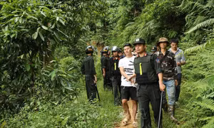 Công an Lào Cai triệt xóa 'ổ nhóm' đánh bạc trên đồi quế