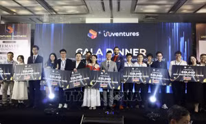 Top 10 start-up từ các trường đại học Việt Nam được nhận hỗ trợ đổi mới sáng tạo