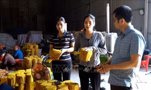 Ngân hàng hỗ trợ doanh nghiệp lấy lại đà tăng trưởng sau bão số 3