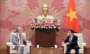 Phát triển thực chất, bền vững quan hệ chiến lược Việt Nam - Liên bang Nga
