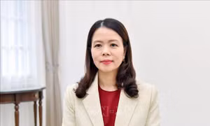 Việt Nam cùng thành viên, đối tác của BRICS thúc đẩy động lực tăng trưởng mới