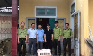 Quảng Trị bàn giao cá thể rái cá quý hiếm cho Vườn quốc gia Cúc Phương