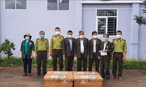 Vườn Quốc gia Cúc Phương cứu hộ số lượng lớn động vật hoang dã