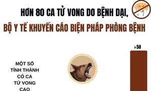 Bộ Y tế khuyến cáo biện pháp phòng bệnh dại