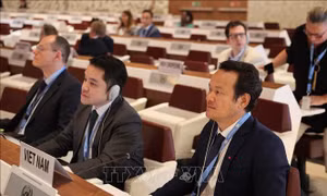 Việt Nam cùng cộng đồng quốc tế kêu gọi tuân thủ luật nhân đạo quốc tế 