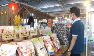Nhịp cầu quảng bá thương hiệu gạo Việt Nam