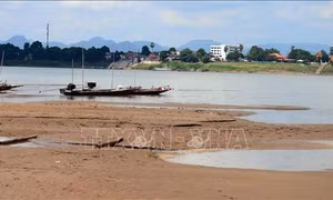 Nước sông Mekong tại Thái Lan cạn đến mức tới hạn