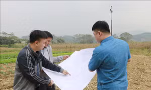 Lập Hội đồng thẩm định Báo cáo nghiên cứu tiền khả thi điều chỉnh Dự án đường sắt Lào Cai - Hà Nội - Hải Phòng