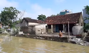 Nỗ lực tìm kiếm người mất tích do mưa lũ tại Sơn La, Thanh Hóa